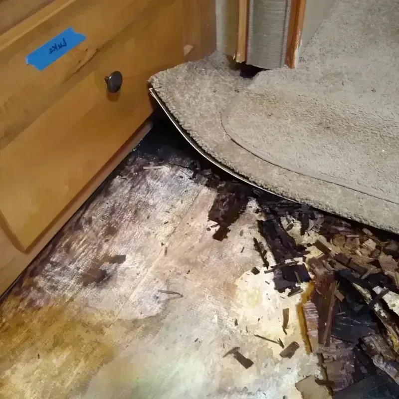 Best Wood Floor Water Damage Service in Yorkville, IL